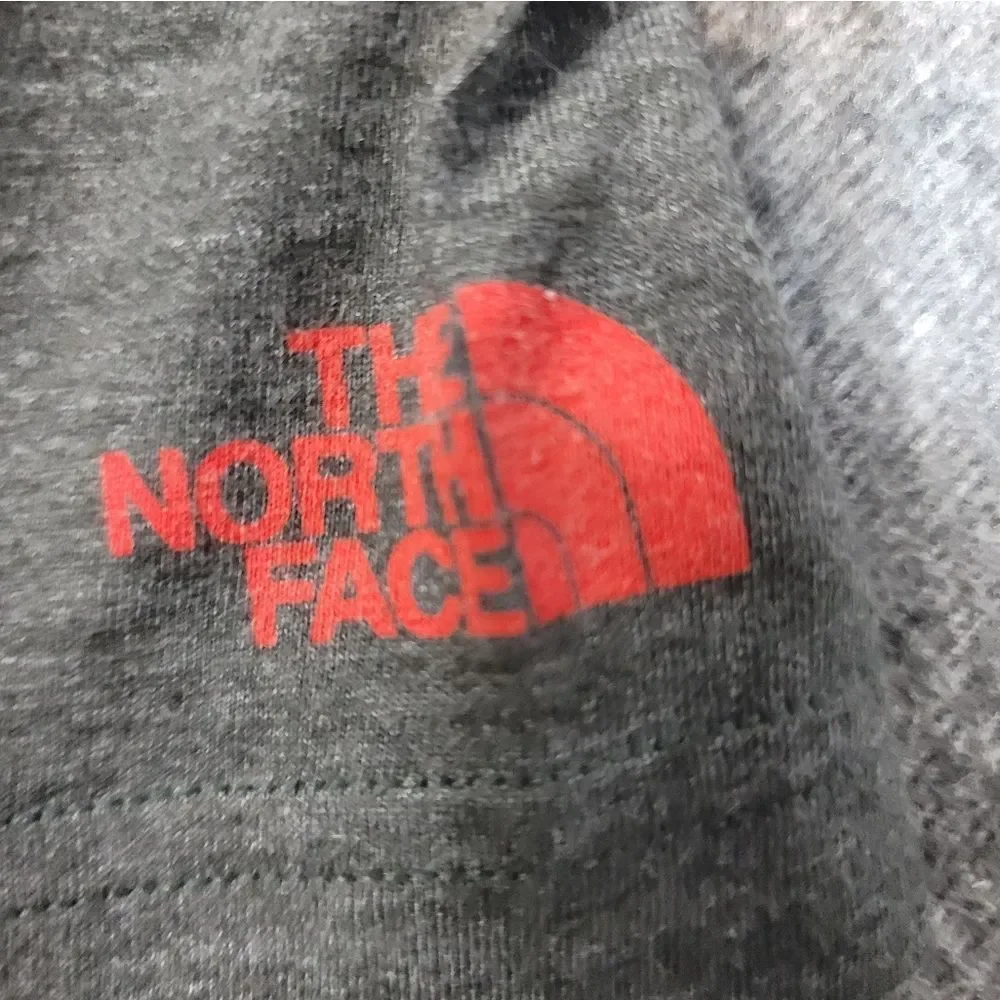The North Face Bear Tested & Proven Logo Men Hiking T-Shirt Size S Gray Slim Fit
